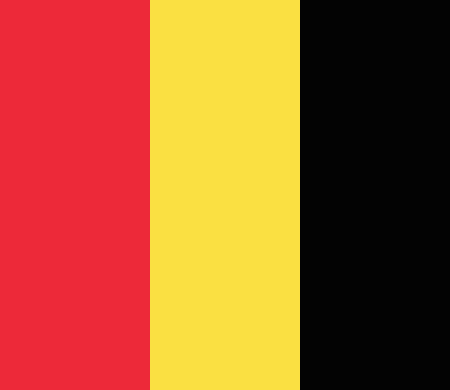 Belgische en Franse selectietests in Brussel Belgische en Franse ambtenarentests in Brussel